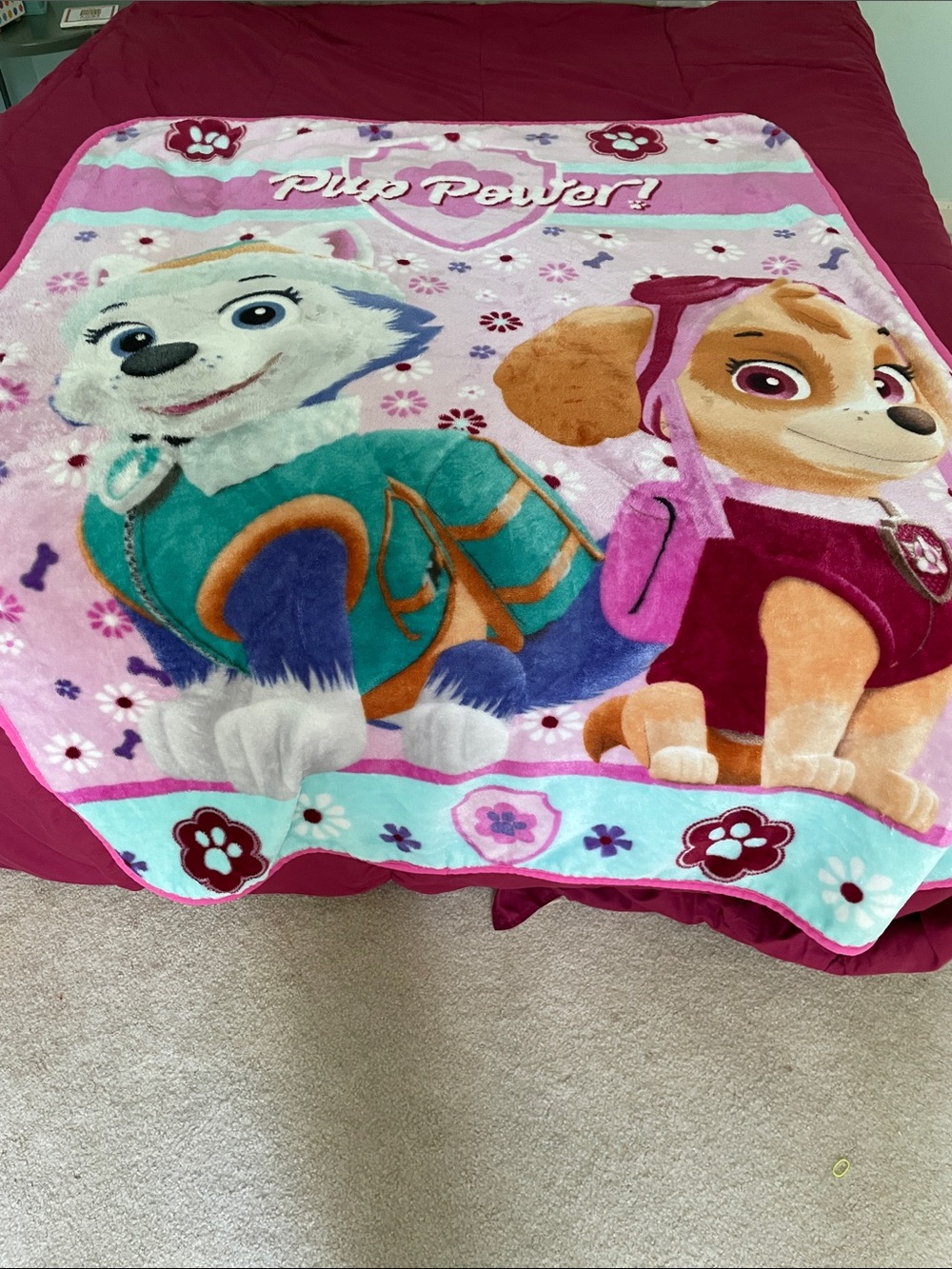 Nickelodeon Paw Patrol blanket